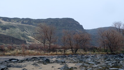 Rugged mountainous landscape view of golden brown brush and tree terrain during fall season at Frenchman Coulee in Washington state, USA