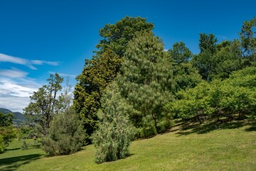 Fototapeta na wymiar View of the park of the Verbania city, north Italy
