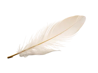 Keuken foto achterwand Veren a white feather on a white background