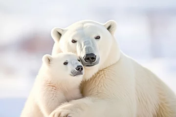 Tuinposter A photo of mother polar bear and her cub. Concept of love, Mother's Day, motherhood, fatherhood, parenting and wildlife conservation and protection © Milan