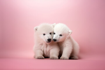 Two little polar bear cubs sitting together and cuddling against a solid pink background with copy space for text. Concept of love, romance, Valentine's Day. For banner, poster, card, postcard