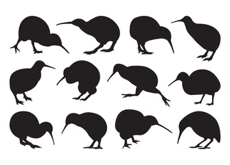 Kiwi Bird vector bundle, Kiwi Bird clipart, Kiwi Bird silhouette.	