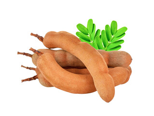 fresh tamarind fruits and leaves transparent png