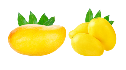 mango transparent png