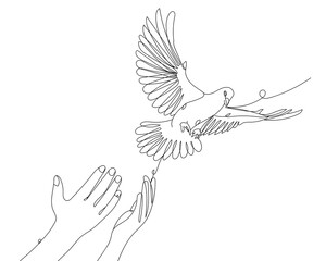 Drawn flying dove and human hands on white background