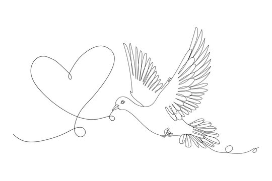 Drawn flying dove and heart shape on white background