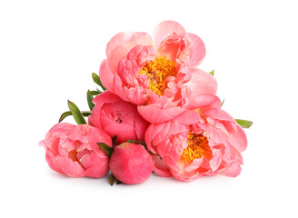 Beautiful pink peony bouquet isolated on white