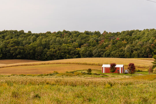 Farm in Wisconsin