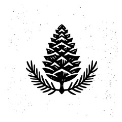 Vector illustration of an isolated Pine Cone