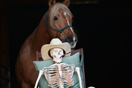 " Wenn es mal länger dauert". Skelett mit Cowboyhut und Stiefel sitzt vor Pferd im Schaukelstuhl