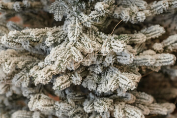 Christmas decor in the house with a Christmas tree, artificial Christmas tree and toys with a garland close-up