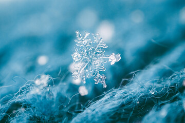 macro picture of a snowflake on a wool cap