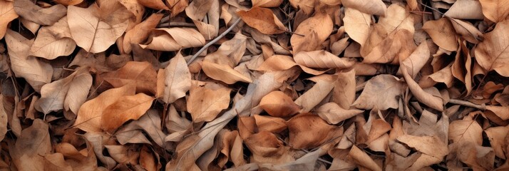 Dry leaves and twigs are scattered around on the ground, large scale, top view, detailed texture.