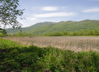 Spring walks in a mountain valley on a sunny morning along a path leading to an unexplored forest.