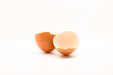 Cascara de huevo con fondo blanco