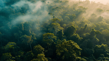 Naklejka na ściany i meble Compelling visual of Earth lungs, Amazon Rainforest depicting its rich biodiversity, AI Generated