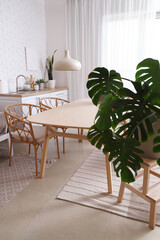 Interior of modern dining room with green houseplant