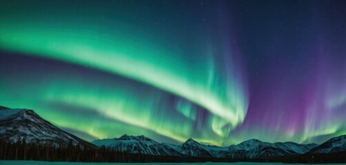  a green and purple aurora bore in the sky above a snow covered mountain range with snow on the ground and trees in the foreground. - obrazy, fototapety, plakaty