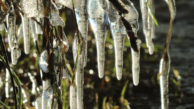 Eisskulpturen an der Eder bei Grifte in Nordhessen