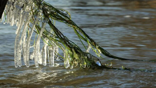 Eisskulpturen an der Eder bei Grifte in Nordhessen
