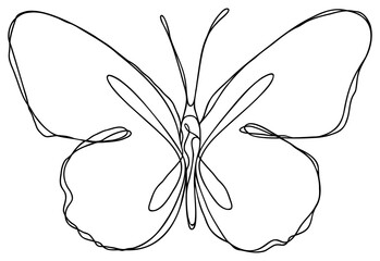 Butterfly Continuous Line Art