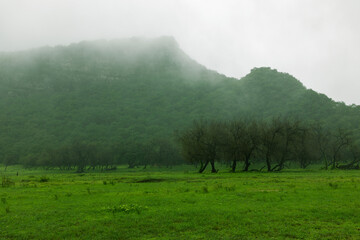 The picturesque nature in Salalah in the autumn season