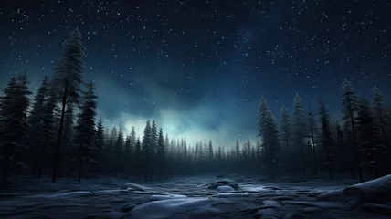 Foto op Aluminium the view of looking up at the night sky in the boreal forest during winter, a composition in a minimalist style, capturing the serene beauty of the natural surroundings and the celestial display. © lililia