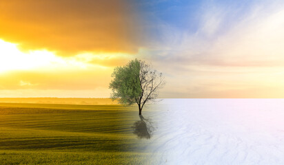Season change from winter to summer at sunset concept.