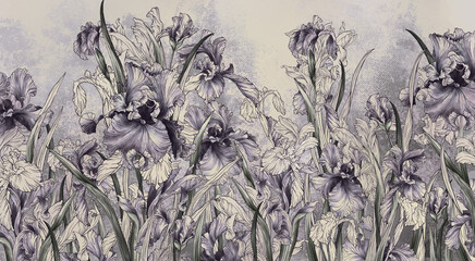 Artistic painted irises in contour and watercolor style in gray tones, photo wallpaper for interior