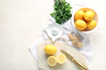 Juicer with ingredients for preparing lemonade on grunge white background