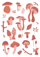 Vector big poster with edible and inedible mushrooms, leaves, snail, branch in brown colors. Autumn forest stickers.