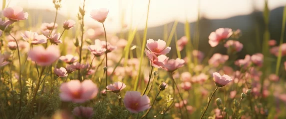 Fotobehang a bunch of pink flowers are in a field on grass © olegganko