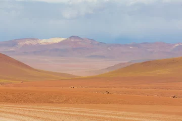 Rolgordijnen Dali desert © Galyna Andrushko