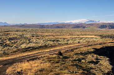 Autumn nature and glacier in Katla Geopark, Iceland