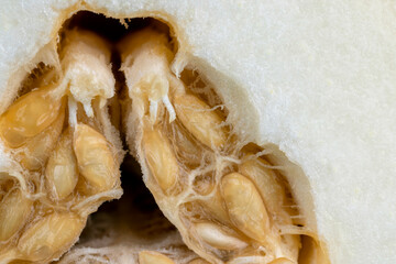 sliced sweet light yellow melon, close-up