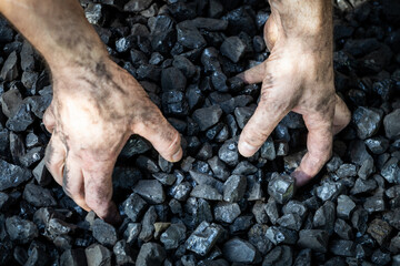 hands digging into coal, industrial mining concept, coal prices, energy cost for households and...