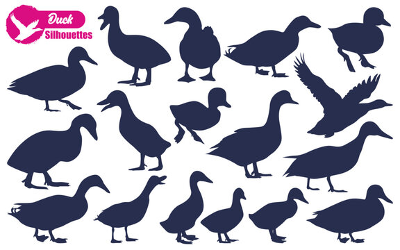  Duck Silhouettes vector illustration