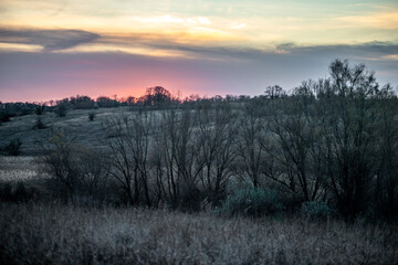 Autumn forest . View from the top . Yellow and grey trees in the forest . Landscape with forest . Sunset ofer the hills . Beautiful forest landscapes  
