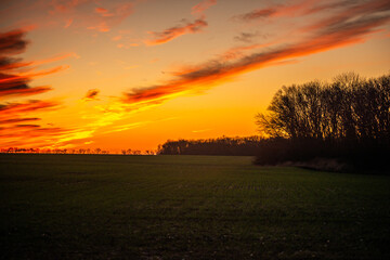 Sunset over the field . Golden sun in the woods . Green field . Red amd orange sky . Autumn landscape 