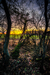 Sunset over the field . Golden sun in the woods . Green field . Red amd orange sky . Autumn landscape 