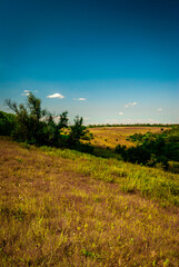 Photography in the forest . Other type of photographe . Landscapes . Summer landscapes 