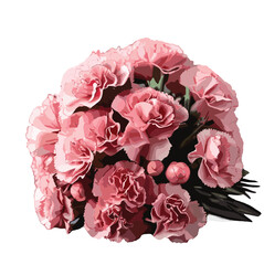 bouquet of pink color Carnation flower vector artwork 