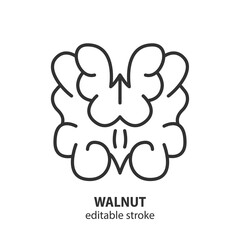 Walnut line icon. Nut symbol. Vector illustration. Editable stroke.