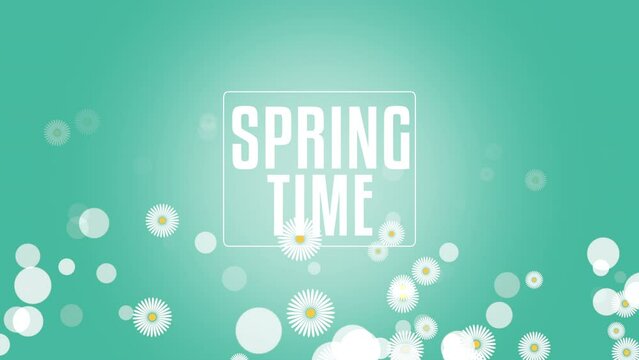 A vibrant spring-themed image featuring white daisies on a green background. The text Spring Time is displayed in the center, capturing the essence of the season