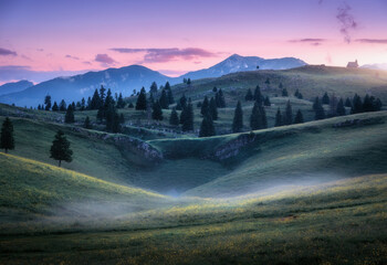 Beautiful mountain valley with green hills in fog, pine trees, mountain peaks in haze, pink sky,...