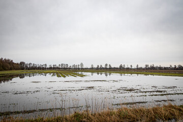 Überflutete Felder nach Dauerregen, Symbolfoto.