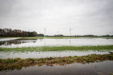 Dauerregen - Hochwasserschäden, überflutete Wintergetreideflächen im Spätherbst. Symbolfoto.