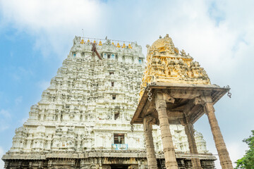 Varadharaja Perumal Vishnu Temple temple ancient idol statues decoration, Kanchipuram,...