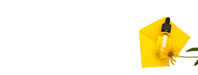 Herbal medicine dropper bottle with herb and flower. Cosmetic organic essential oil. Copy space.