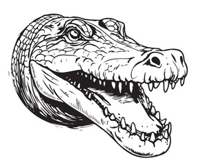 Crocodile head sketch hand drawn in doodle style illustration